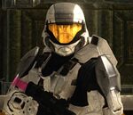 Sergeant Denise Rocko ACTIVE