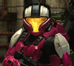 Captain Raven Carmine ACTIVE RAT'S NEST